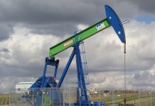 Daca Romania nu se implica mai mult, gazele din Marea Neagra ar putea ajunge la export