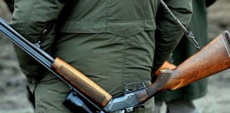 Ce sa vinzi pe timp de criza? Armament!