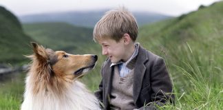 Cele mai bune filme seriale cu animale