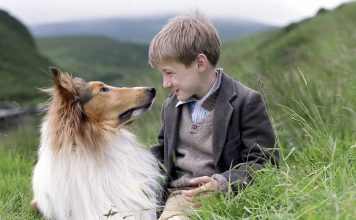 Cele mai bune filme seriale cu animale