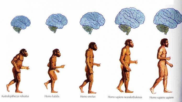 Homo sapiens si Homo erectus