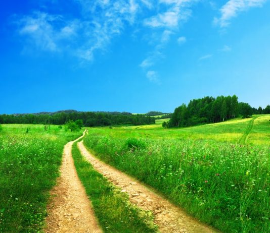 115 Citate Despre Primavara Citate scurte