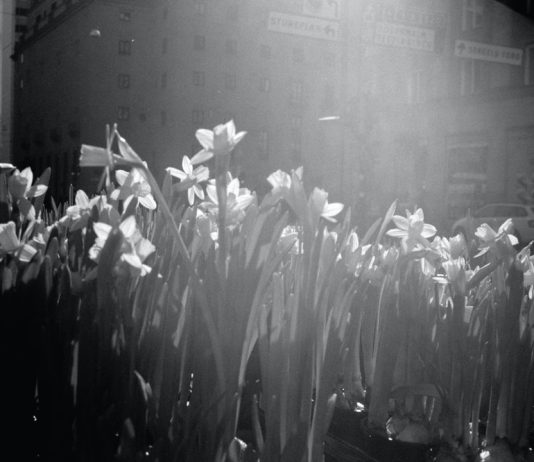 194 Mesaje De Condoleante