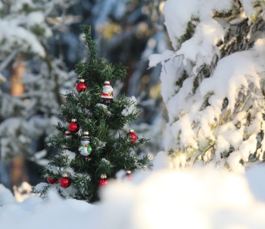 265 Mesaje De Craciun