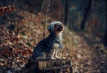 429 Citate Despre Viata Si Sentimente pline de adevar