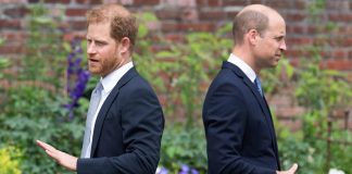 Ar putea memoria printesei Diana sa-i ajute pe printul William si printul Harry sa se impace?