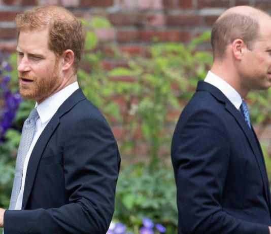 Ar putea memoria printesei Diana sa-i ajute pe printul William si printul Harry sa se impace?