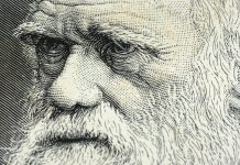 Ce inseamna „supravietuirea celui mai apt” in pandemia de coronavirus?