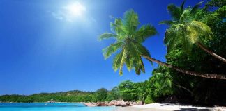 Cele mai in voga plaje din Republica Dominicana