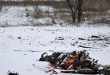 Rusia a avertizat Finlanda si Suedia cu privire la consecintele „politico-militare” daca se alatura NATO