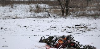 Rusia a avertizat Finlanda si Suedia cu privire la consecintele „politico-militare” daca se alatura NATO