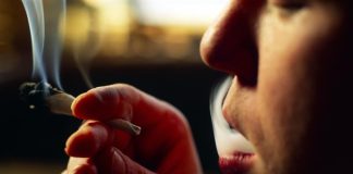Salvia Divinorum – genotip si tineri