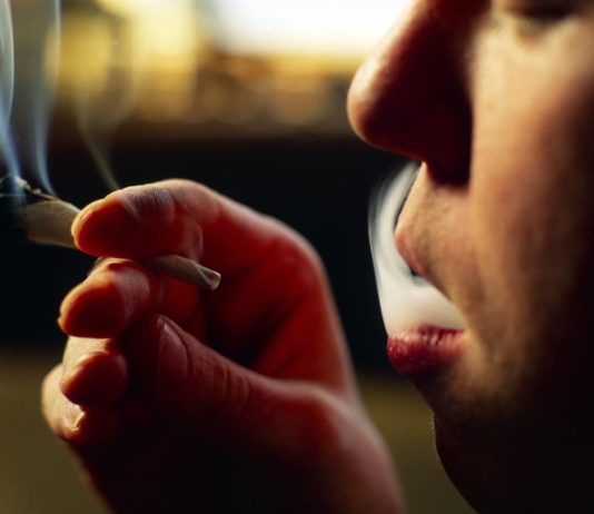 Salvia Divinorum – genotip si tineri