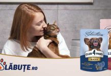 S-a deschis Club4Labute.ro – Mâncare pentru câini și pisici