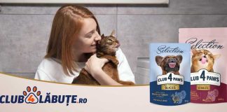 S-a deschis Club4Labute.ro – Mâncare pentru câini și pisici