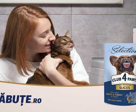 S-a deschis Club4Labute.ro – Mâncare pentru câini și pisici