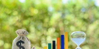 Volatilitatea dolarului în ultimii 5 ani: evoluția și tendințele
