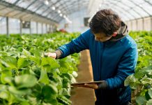 Comercializeaza-ti produsele in 9 pasi practici