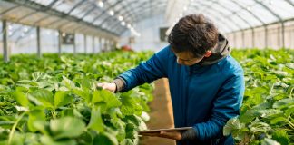 Comercializeaza-ti produsele in 9 pasi practici