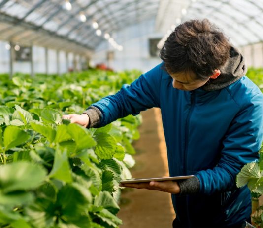 Comercializeaza-ti produsele in 9 pasi practici