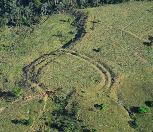Constructii antice detectate in Amazon de oamenii de stiinta