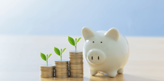Intelegerea diferentelor cheie dintre investitie si economisire