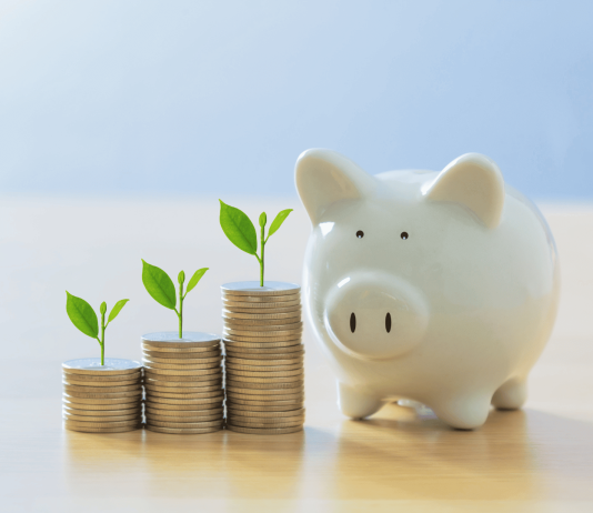 Intelegerea diferentelor cheie dintre investitie si economisire