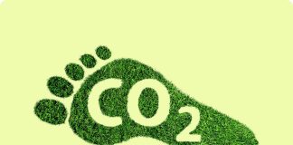 10 schimbari prin care va puteti reduce amprenta de carbon