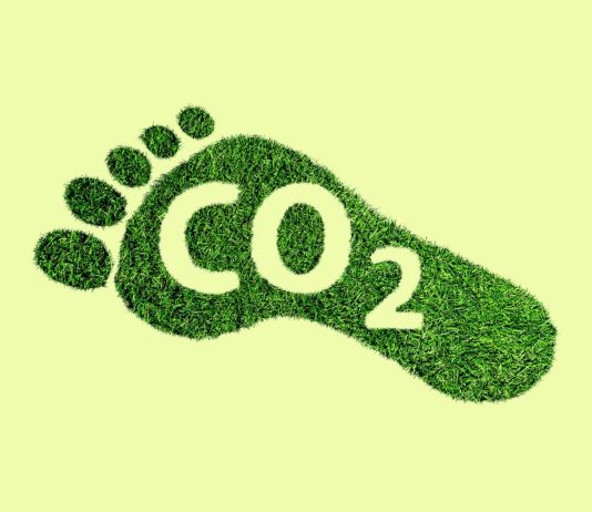 10 schimbari prin care va puteti reduce amprenta de carbon